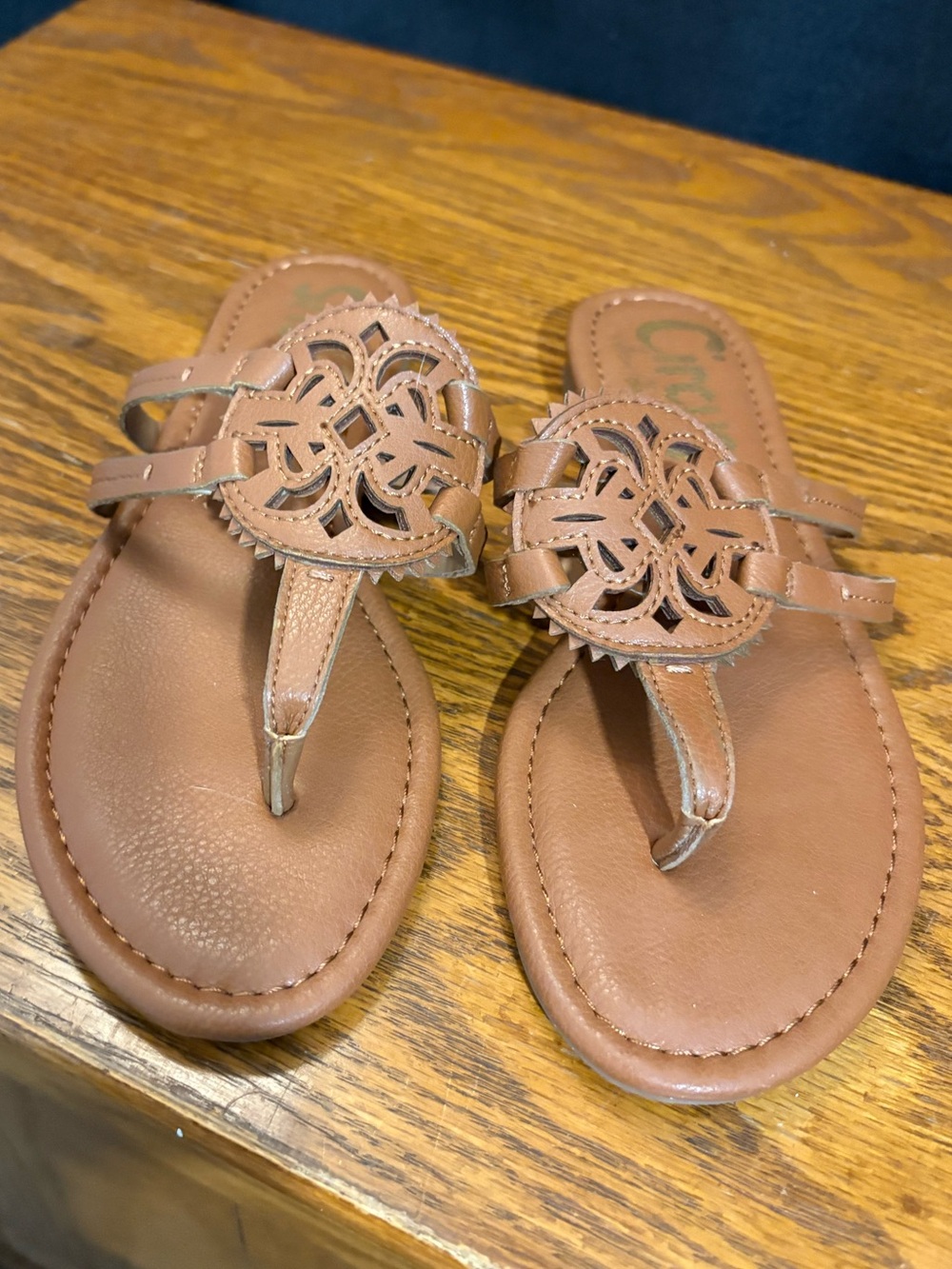 Circus by Sam Edelman Brown Floral Thong Sandals Size 6